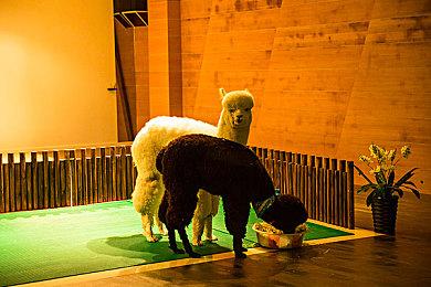 《暗影火炬城》N卡DLSS提升明显 性能优化高达3倍